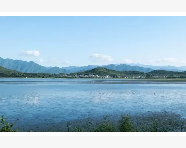 中医食疗：自然与健康的和谐之舞