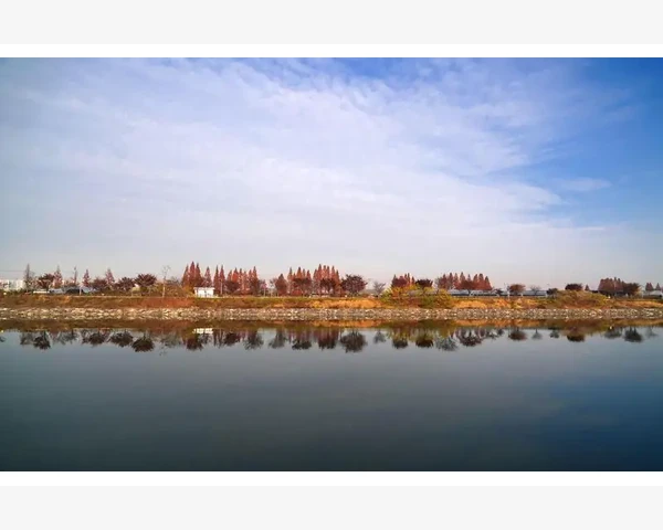 肝肾亏虚气血不足的调理方法与建议